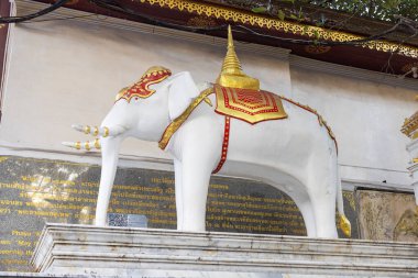 Chiang Mai, Tayland yakınlarındaki Doi Suthep tapınağı