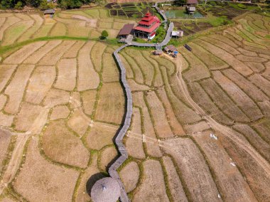 Aerial view of Kho Ku So Bamboo Bridge and rice fields in northern Thailand near Pai clipart