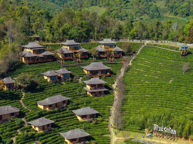 Aerial view of the Chinese village of Ban Rak Thai with tea plantations, Thailand clipart