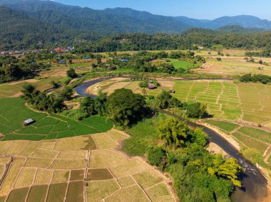 Tayland 'ın kuzeyinde, Mae Hong Son yakınlarındaki Bambu Köprüsü ve Budist Tapınağı' nın hava görüntüsü.