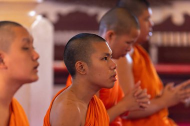 Budist keşişler Tayland 'ın Chiang Mai şehrindeki Wat Phra Singh Woramahawihan tapınağında dua ederler.