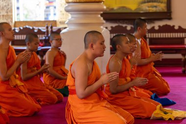 Budist keşişler Tayland 'ın Chiang Mai şehrindeki Wat Phra Singh Woramahawihan tapınağında dua ederler.