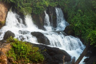 Pha Suea Şelalesi Tayland ormanında