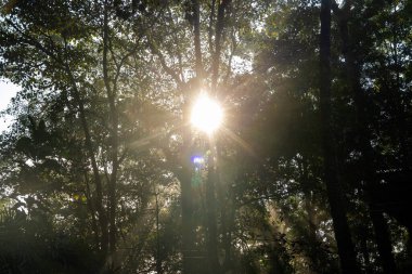 Pha Suea Şelalesi Tayland ormanında Mae Hong Son Şehri yakınlarında.