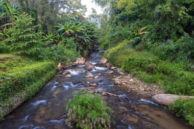 Kuzey Tayland 'daki Khun Korn Şelalesi
