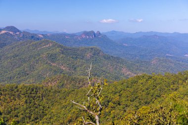 Kuzey Tayland 'ın ormanlık tepelerinin manzarası