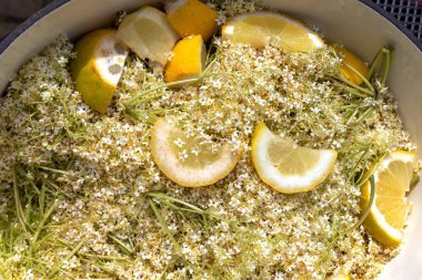Sambucus Nigra (Yaşlı) Çiçekleri ve Taze Limon Dilimleri Kullanılarak Elderflower Meyve Suyu Hazırlama