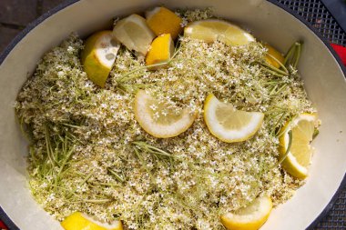 Sambucus Nigra (Yaşlı) Çiçekleri ve Taze Limon Dilimleri Kullanılarak Elderflower Meyve Suyu Hazırlama