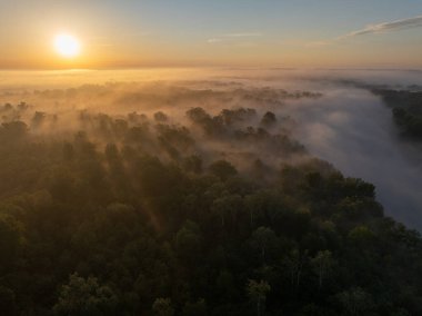Sabah sisi ve yükselen güneşin doğal Drava Nehri üzerindeki hava manzarası ve orman taşkın ovası.