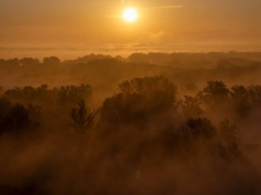 Gün Doğumu ve Sabah Buğusu 'nun Hava Görüntüsü Bir Düzlük Ormanı Üzerinde