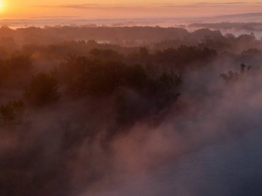 Gün Doğumu ve Sabah Buğusu 'nun Hava Görüntüsü Bir Düzlük Ormanı Üzerinde