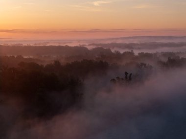 Gün Doğumu ve Sabah Buğusu 'nun Hava Görüntüsü Bir Düzlük Ormanı Üzerinde
