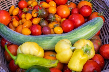 Ev yapımı Hasat Ermeni Salatalığı, Domatesler ve Biberler Bir Hasat Sepetinde