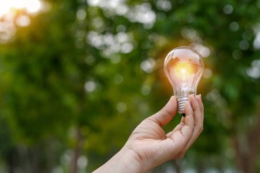 Doğadaki enerji kavramında büyüyen ampuller..