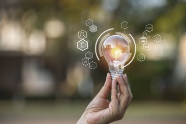 Doğadaki enerji kavramında büyüyen ampuller..