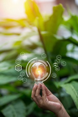 Doğadaki enerji kavramında büyüyen ampuller..