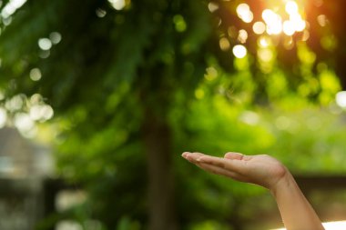 Çevre simgeleriyle el ele tutuşan teknoloji, yeşil arkaplanda Ağ bağlantısı üzerinden.