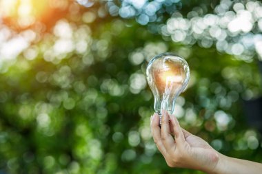 Doğadaki enerji kavramında büyüyen ampuller..