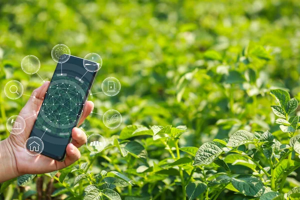 Stock image Hands of farmer, Agriculture technology farmer man using tablet Modern technology concept agriculture.