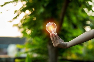 Doğadaki enerji kavramında büyüyen ampuller..