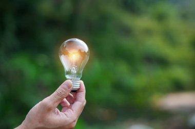 Doğadaki enerji kavramında büyüyen ampuller..