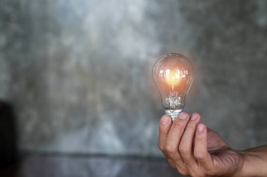 Doğadaki enerji kavramında büyüyen ampuller..