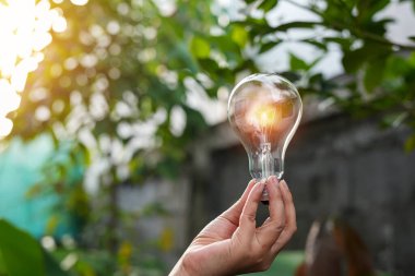 Doğaya karşı el ele tutuşan ampul, yenilenebilir enerji kaynakları için simgeler,