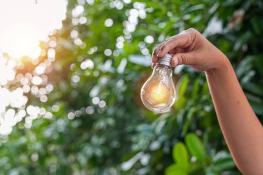 Doğaya karşı el ele tutuşan ampul, yenilenebilir enerji kaynakları için simgeler,
