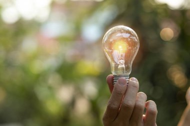 Doğaya karşı el ele tutuşan ampul, yenilenebilir enerji kaynakları için simgeler,