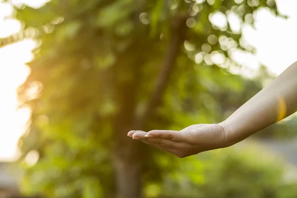 stock image Technology, hand holding with environment Icons over the Network connection on green background.