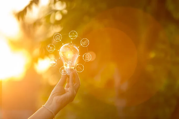 Light Bulbs Grow Concept Energy Nature — Stock Photo, Image