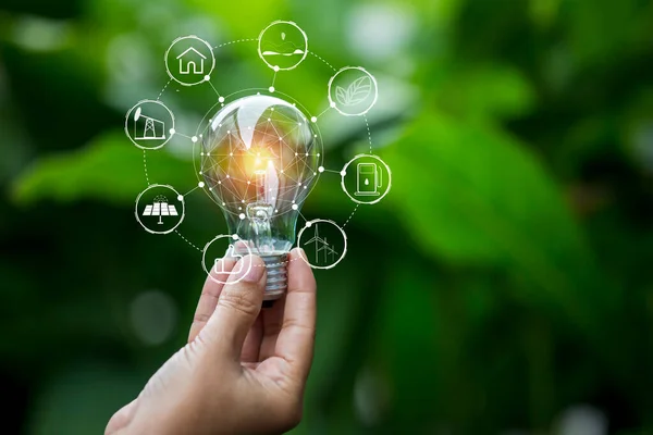 Glödlampor Som Växer Begreppet Energi Naturen — Stockfoto