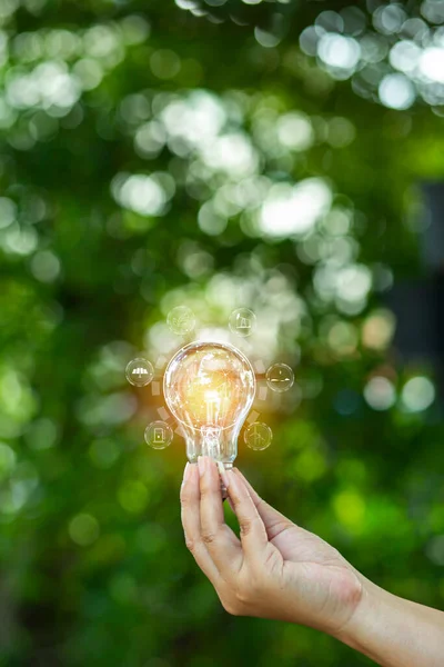 Stock image hand holding light bulb against nature, icons energy sources for renewable,