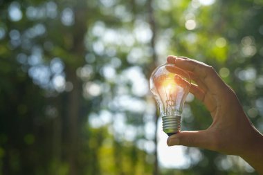 Doğaya karşı el ele tutuşan ampul, yenilenebilir enerji kaynakları için simgeler,