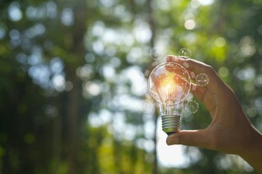 Doğaya karşı el ele tutuşan ampul, yenilenebilir enerji kaynakları için simgeler,