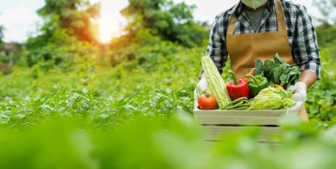 Genç adam bir kutu sebze holding