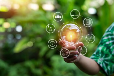 Doğaya karşı el ele tutuşan ampul, yenilenebilir enerji kaynakları için simgeler,