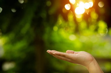 Çevre simgeleriyle el ele tutuşan teknoloji, yeşil arkaplanda Ağ bağlantısı üzerinden.
