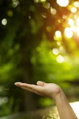 Çevre simgeleriyle el ele tutuşan teknoloji, yeşil arkaplanda Ağ bağlantısı üzerinden.