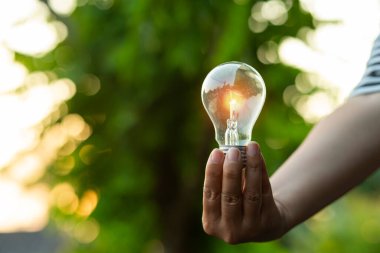 Doğaya karşı el ele tutuşan ampul, yenilenebilir enerji kaynakları için simgeler,