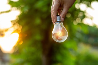 Doğaya karşı el ele tutuşan ampul, yenilenebilir enerji kaynakları için simgeler,