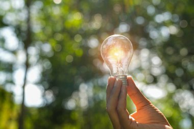 Doğaya karşı el ele tutuşan ampul, yenilenebilir enerji kaynakları için simgeler,