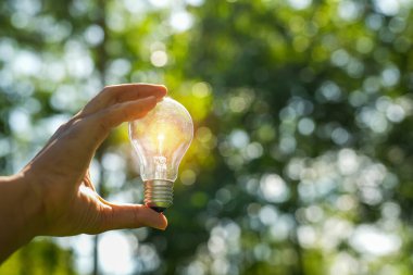Doğaya karşı el ele tutuşan ampul, yenilenebilir enerji kaynakları için simgeler,