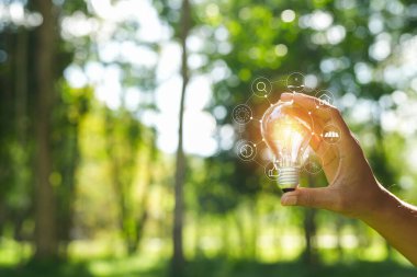 Doğaya karşı el ele tutuşan ampul, yenilenebilir enerji kaynakları için simgeler,
