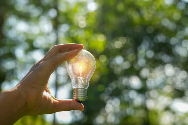 stock image hand holding light bulb against nature, icons energy sources for renewable,