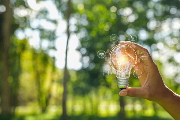Doğaya karşı el ele tutuşan ampul, yenilenebilir enerji kaynakları için simgeler,