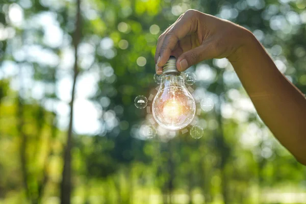 Stock image hand holding light bulb against nature, icons energy sources for renewable,