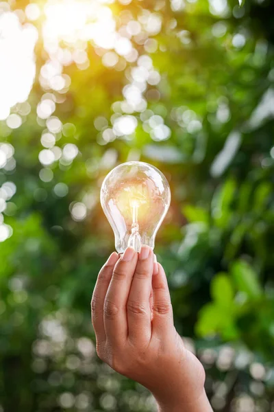 Hand Hålla Glödlampa Mot Naturen Ikoner Energikällor För Förnybara — Stockfoto
