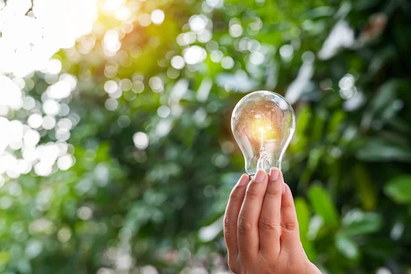 Hand Hält Glühbirne Gegen Die Natur Symbole Energiequellen Für Erneuerbare — Stockfoto