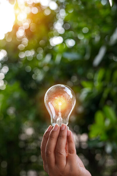 hand holding light bulb against nature, icons energy sources for renewable,